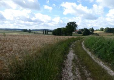 Naturpark Hirschwald II