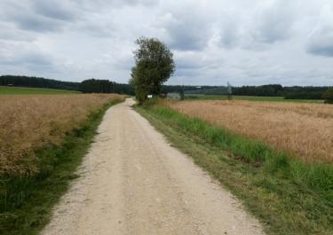Vom Flugplatz nach Michelfeld 