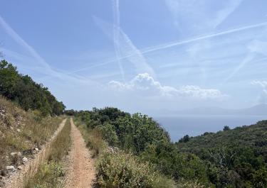 Offroad Kroatien Ganz im Osten nach Sućuraj 