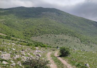 Im Hinterland