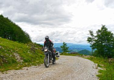 In den Wäldern des Velebit