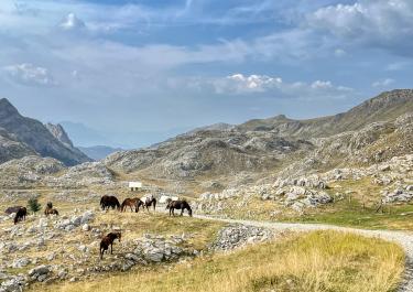 Offroad Montenegro Gletscherseen der Kučka krajina