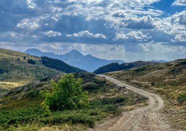 Offroad Montenegro Vom Nationalpark zum Trešnjevik-Pass