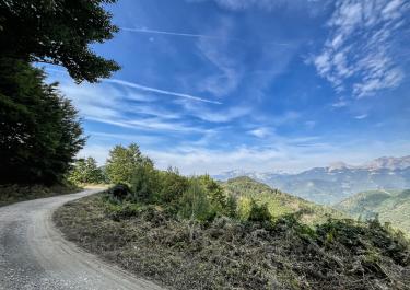 Offroad Montenegro Wälder, Pisten und ein Kloster
