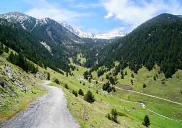 Offroad Spanien Naturpark alt Pirineu
