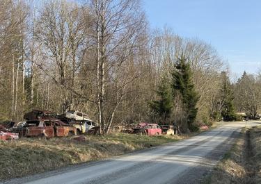 Schotterweg, an dem links Schrottautos im Wald liegen