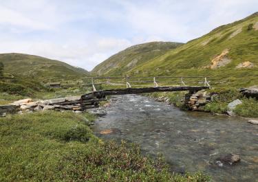 Norwegen Grimsdalsvegen 