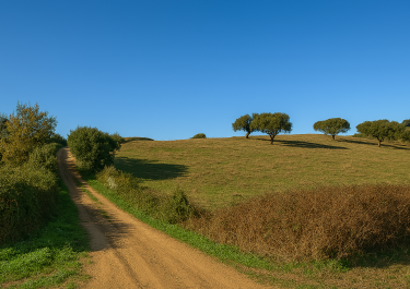 Italien Sardinien Brandschneisen und Windräder