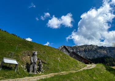 Slowenien Auf dem Mittelteil der Solčavska Panoramastraße