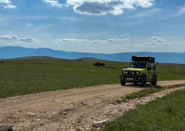 Die Wildpferde der Krug planina