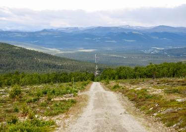 Waldpisten am Haustsjøen  