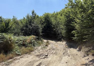Offroad Albanien Durch das Luzni-Bulaç Naturreservat 