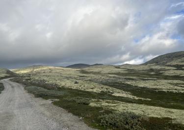 Offroad Norwegen Auf den Blåhøe 
