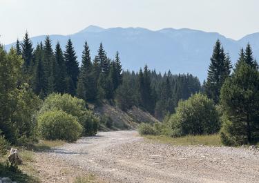 Offroad Bosnien Necropolis Dugo polje