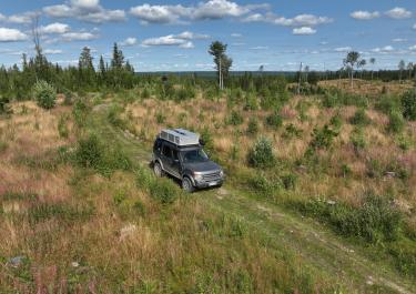 Offroad Schweden Forstwege am Nävra