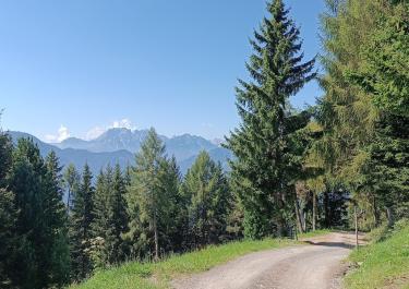 Offroad Österreich Leppner Alm 