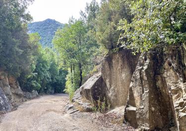 Offroad Italien Monte Limbara von Norden