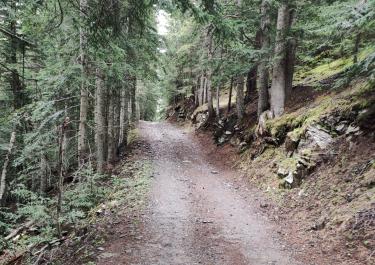 Offroad Spanien Naturpark Alt Pirineu