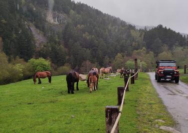 Offroad Spanien Naturpark Alt Pirineu