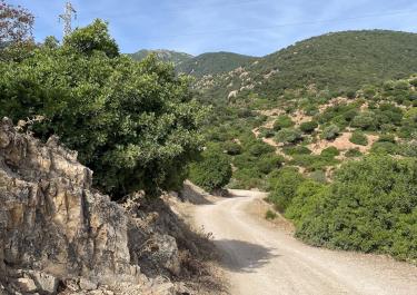 Offroad Italien Piscine Naturali Di Monte Ferru