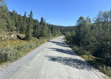 Offroad Norwegen Slokoveien