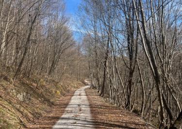 Offroad Slowenien Kocevski Rog