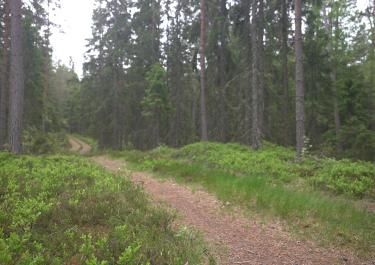 Offroad Schweden Hörnebo Schiefergrube