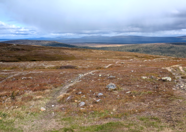 Offroad Schweden Vom Nipfjället zum Fjätfallen