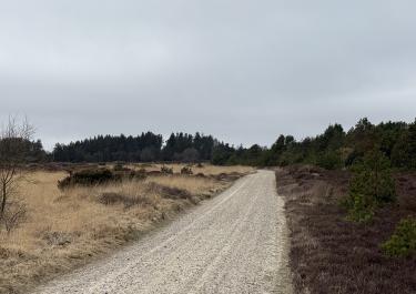 Offroad Dänemark Hoverdal