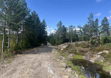 Offroad Norwegen Von der RV 9 zum Sandlandsvatnet