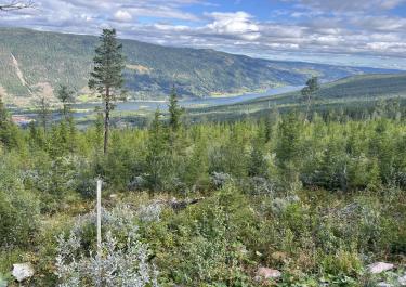 Offroad Norwegen Sangefjellvegen