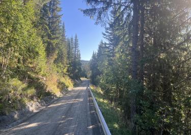 Offroad Norwegen Leirskogvegen