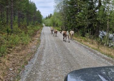 Offroad Schweden Unsichtbare Seen