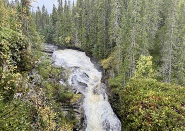 Offroad SchwedenAnsättåns Canyon 