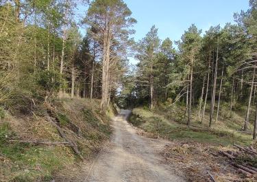 Offroad Spanien Coll de les Bassotes 