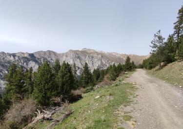Offroad Spanien Collada de la Bofià 