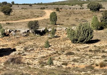 Offroad Spanien Piste nach Mas Blanco