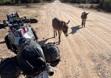 Offroad Italien Golgo Hochebene & Riu Codula Sisine