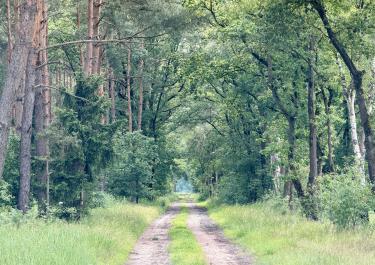 Offroad Deutschland Am Wienhauser Mühlenkanal