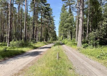 Offroad Deutschland Breitenheeser Weg