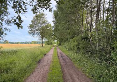 Offroad Deutschland Zwischen Kellinghusen und Bad Bramstedt