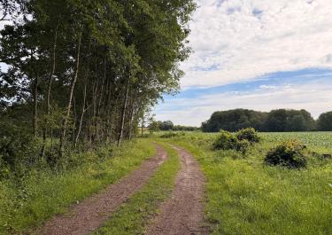 Offroad Deutschland Zwischen Kellinghusen und Bad Bramstedt