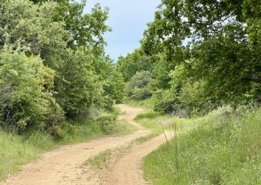 Offroad Griechenland Von Dorkada nach Nikoklia