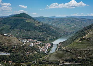 Scenic aerial view of Douro Valley vineyards and river, Portugal's wine region.
