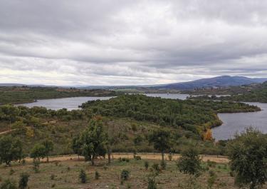 Serene view of lush greenery and a winding river in Bragança District, Portugal, under a cloudy sky.