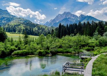 Beautiful view of mountains, forest, and lake with wooden walkway.