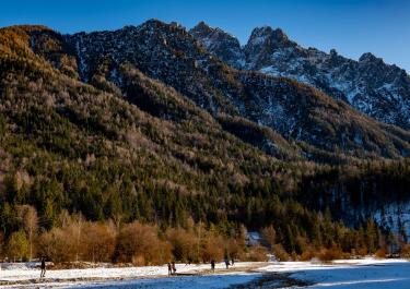 Stunning winter view of Kranjska Gora's mountains and forest.